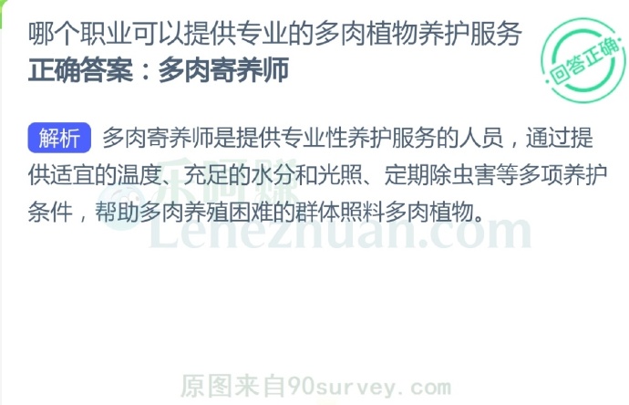 哪个职业可以提供专业的多肉植物养护服务?
