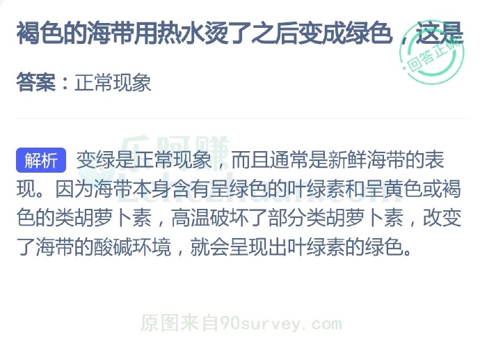 褐色的海带用热水烫了之后变成绿色?