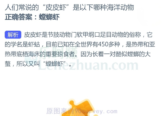 人们常说的“皮皮虾”是以下哪种海洋动物?