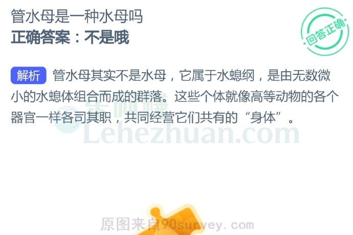 管水母是一种水母吗?