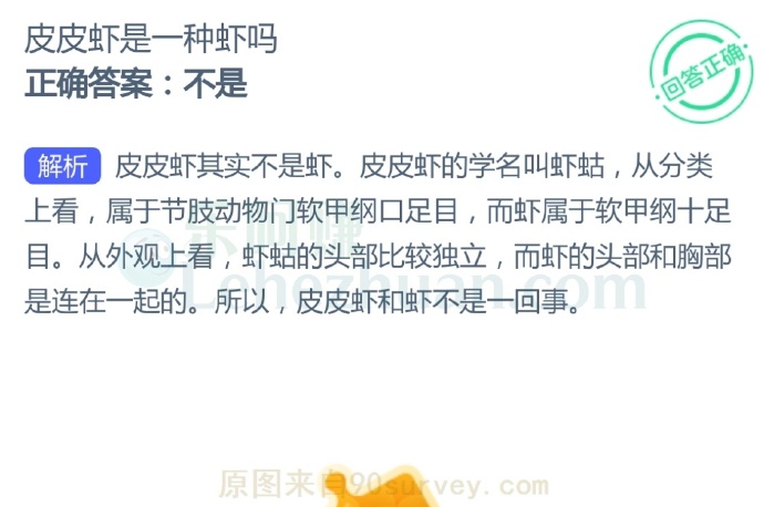 皮皮虾是一种虾吗?