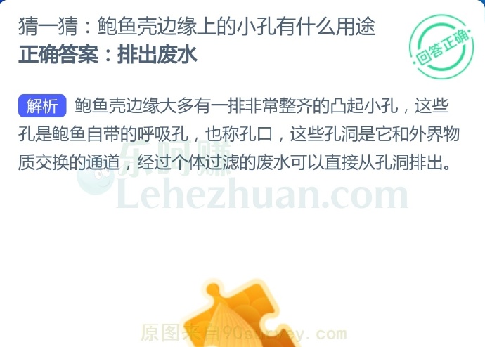 鲍鱼壳边缘上的小孔有什么用途?