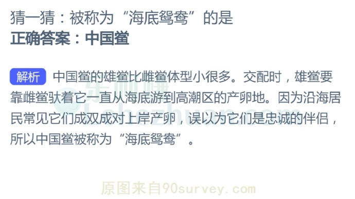 被称为“海底鸳鸯”的是?