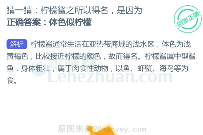 柠檬鲨之所以得名是因为?