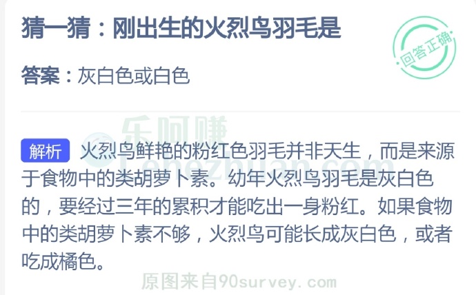 刚出生的火烈鸟羽毛是?