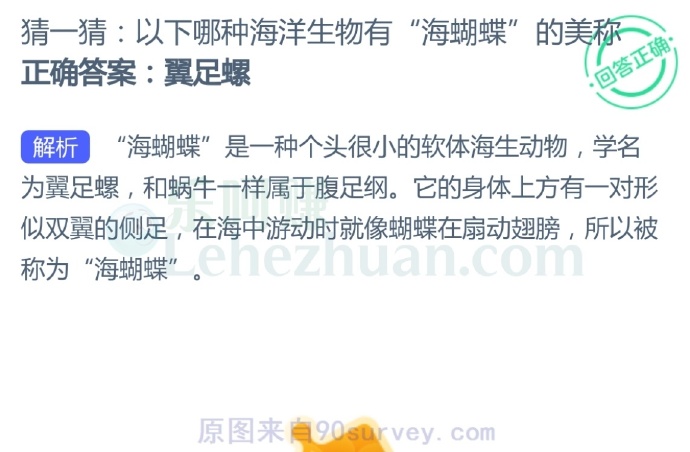 以下哪种海洋生物有“海蝴蝶”的美称?