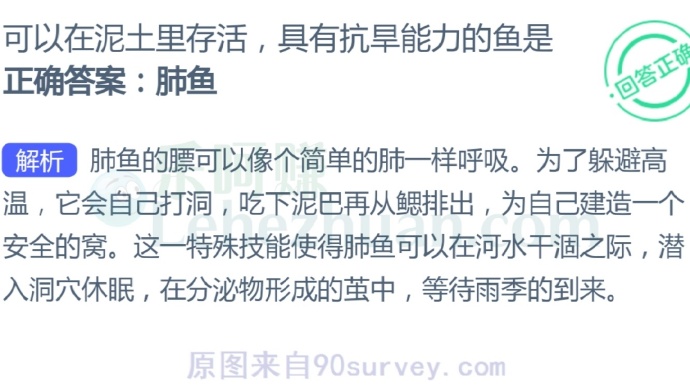 可以在泥土里存活,具有抗旱能力的鱼是?