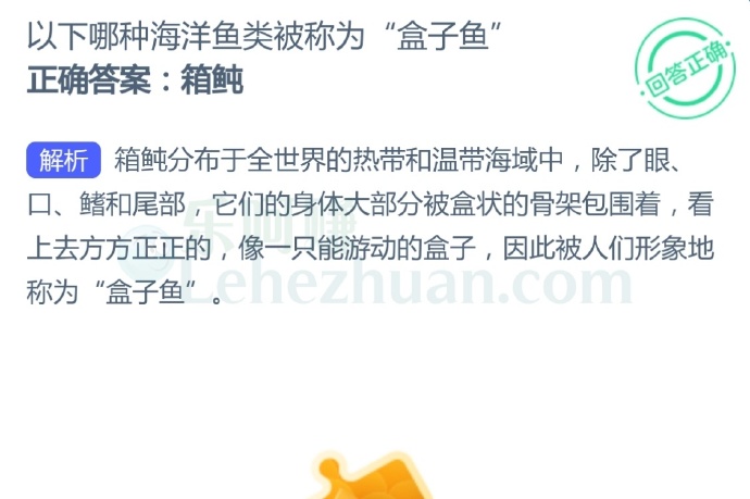 以下哪种海洋鱼类被称为“盒子鱼”?