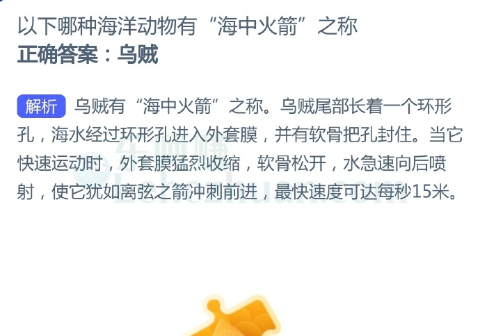 以下哪种海洋动物有“海中火箭”之称?