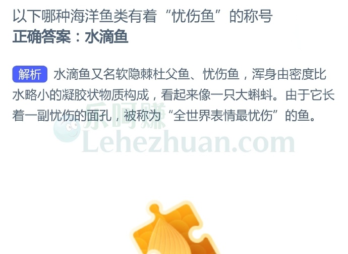 以下哪种海洋鱼类有着“忧伤鱼”的称号?