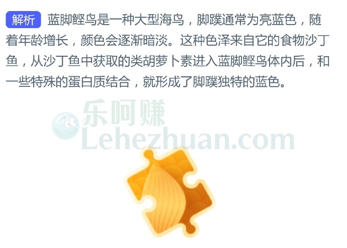 蓝脚鲣鸟拥有一双蓝色的脚,这种颜色主要来自它的?