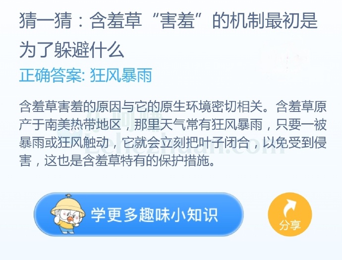 含羞草“害羞”的机制最初是为了躲避什么?