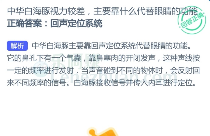 中华白海豚视力较差,主要靠什么代替眼睛的功能?