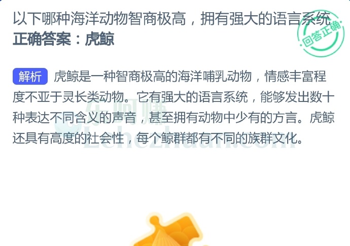 以下哪种海洋动物智商极高,拥有强大的语言系统?