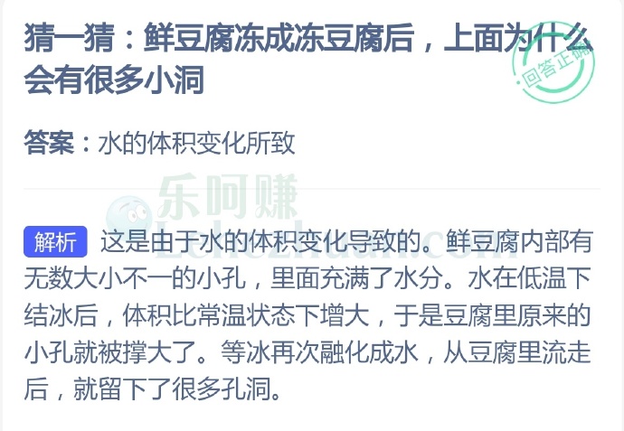 鲜豆腐冻成冻豆腐后,上面为什么会有很多小洞?