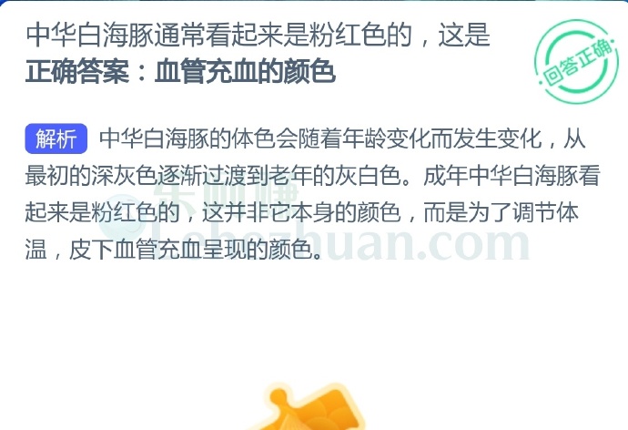 中华白海豚通常看起来是粉红色的,这是?