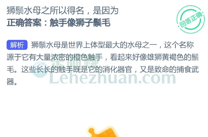 狮鬃水母之所以得名,是因为?