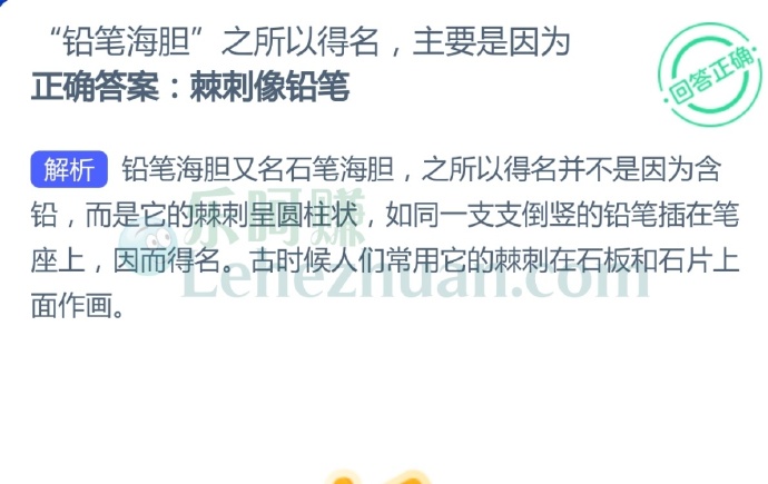 “铅笔海胆”之所以得名,主要是因为?