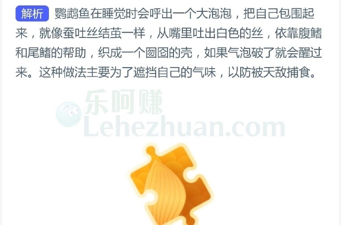 以下哪种鱼睡觉时会用大泡泡把自己包围起来?