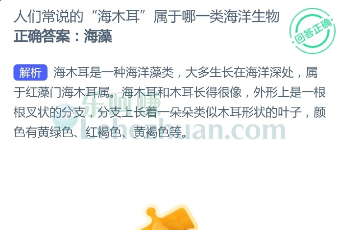 人们常说的“海木耳”于哪一类海洋生物?