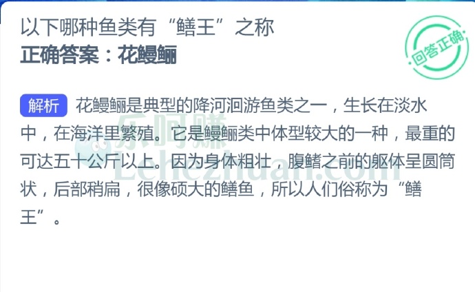 以下哪种鱼类有“鳝王”之称?