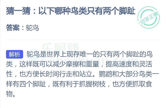 以下哪种鸟类只有两个脚趾?