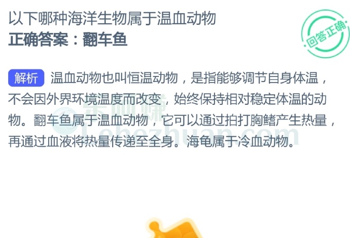 以下哪种海洋生物属于温血动物?