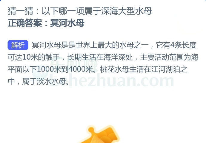 以下哪一项属于深海大型水母?