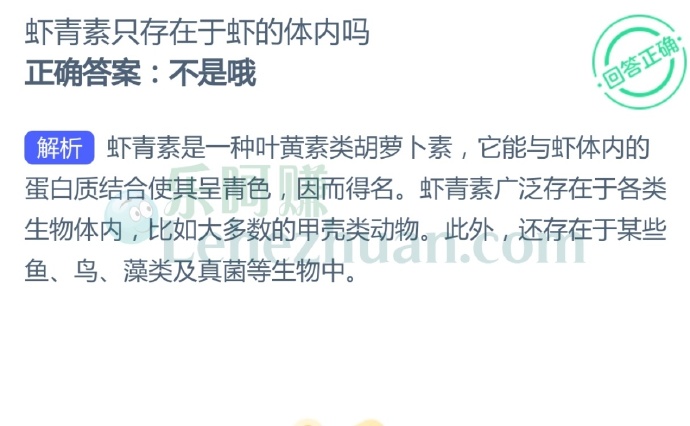 虾青素只存在于虾的体内吗?