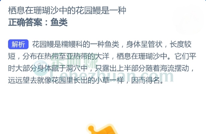 栖息在珊瑚沙中的花园鳗是一种?
