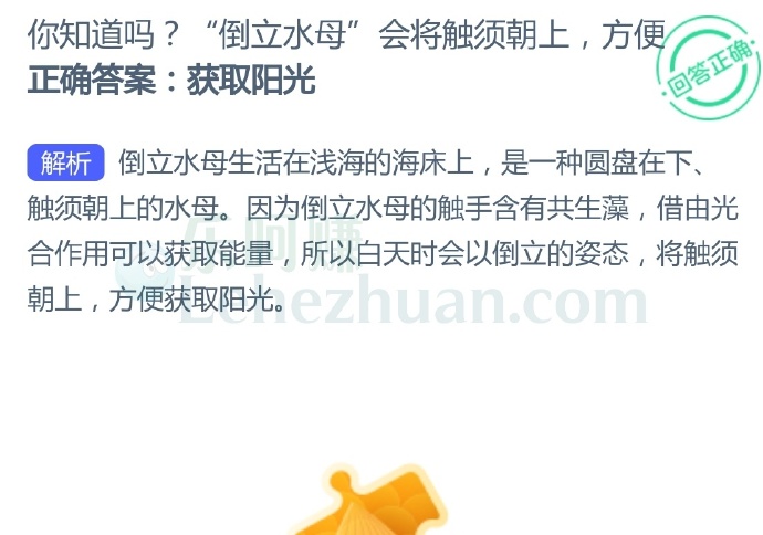 “倒立水母”将触须朝上是为了?
