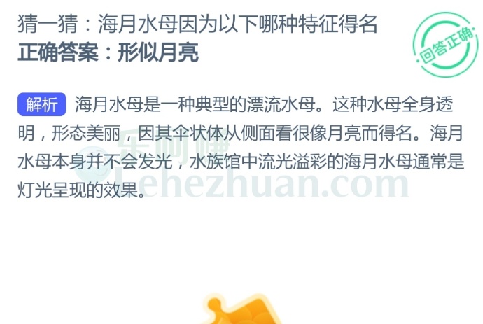 海月水母因为以下哪种特征得名?