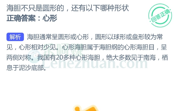 海胆不只是圆形的,还有哪种形状?