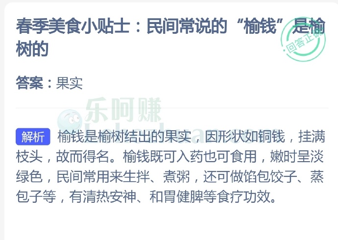 民间常说的“榆钱”是榆树的?