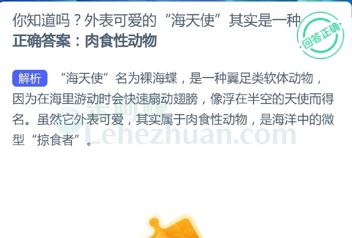 外表可爱的“海天使”其实是一种?