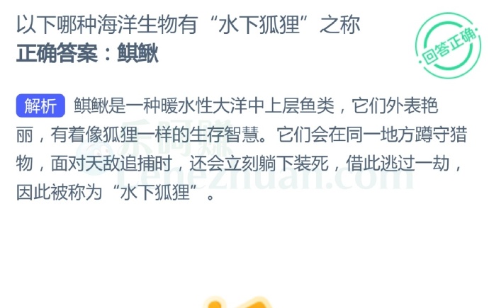 以下哪种海洋生物有“水下狐狸”之称?