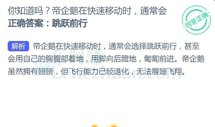 帝企鹅在快速移动时通常会?