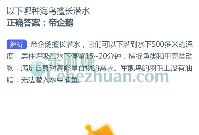 以下哪种海鸟擅长潜水?