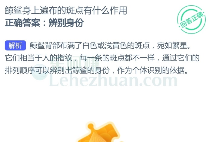 鲸鲨身上遍布的斑点有什么作用?