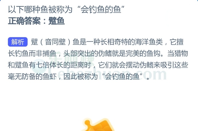 以下哪种鱼被称为“会钓鱼的鱼”?