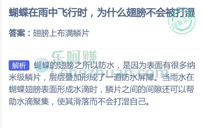 蝴蝶在雨中飞行时,为什么翅膀不会被打湿 ?