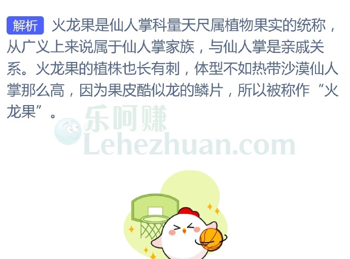 火龙果与以下哪种植物是亲戚关系?