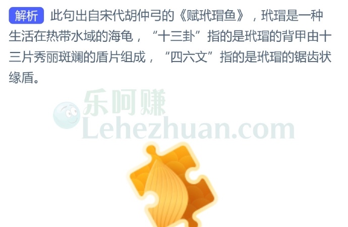 诗句“背负十三卦,旁分四六文”指的是玳瑁