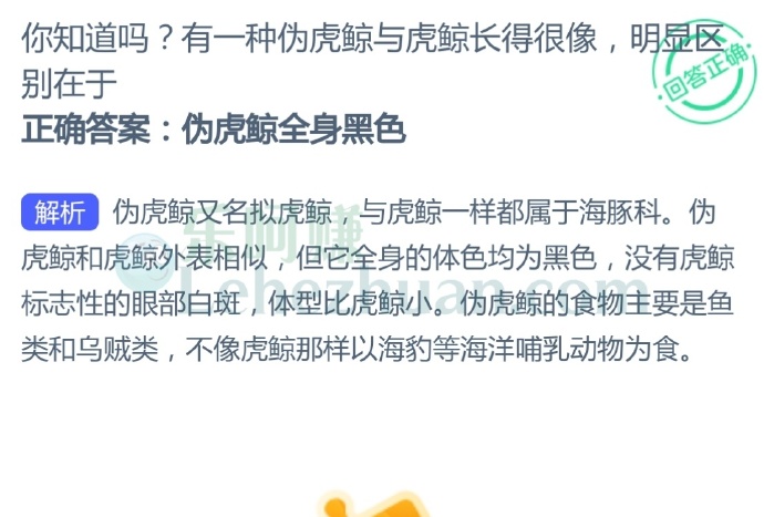 有一种伪虎鲸与虎鲸长得很像,明显区别在于?