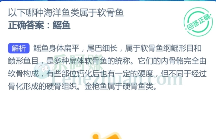 以下哪种海洋鱼类属于软骨鱼?
