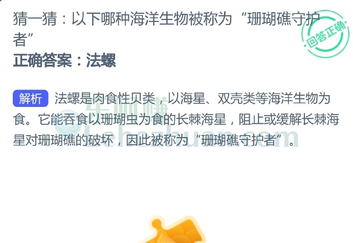 以下哪种海洋生物被称为“珊瑚礁守护者”?