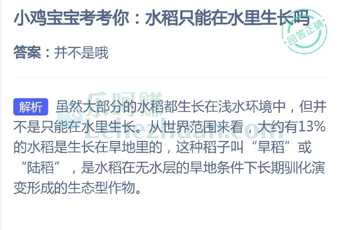 水稻只能在水里生长吗?