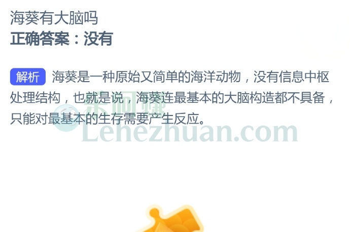 海葵有大脑吗?