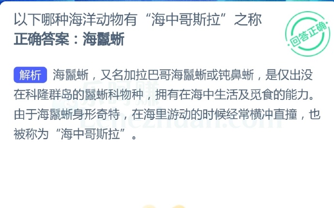 以下哪种海洋动物有“海中哥斯拉”之称?