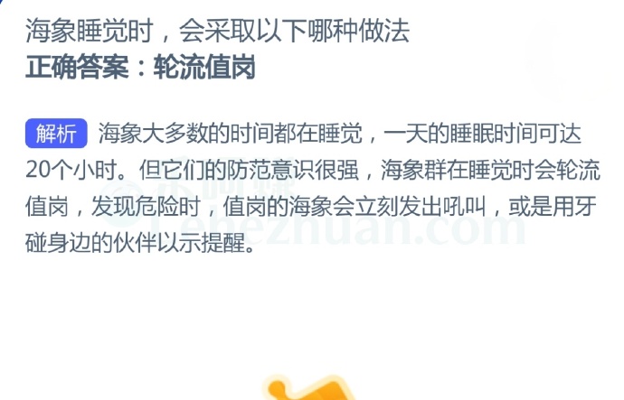 海象睡觉时,会采取以下哪种做法?